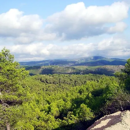 Maginet Avinyonet del Penedes
