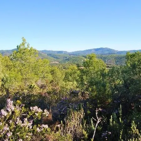 Maginet Avinyonet del Penedes