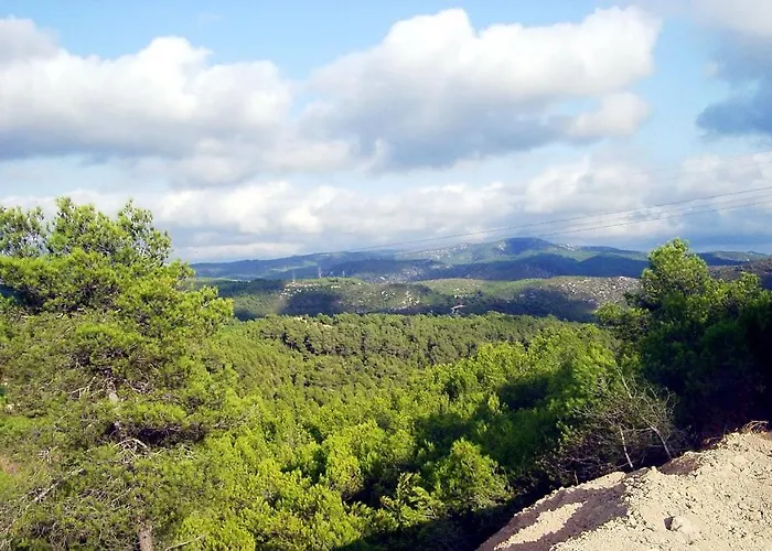 Maginet Avinyonet del Penedes