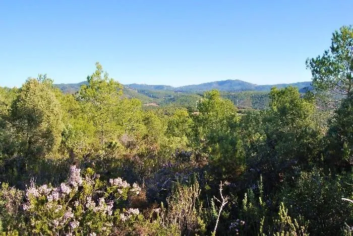 Maginet Avinyonet del Penedes