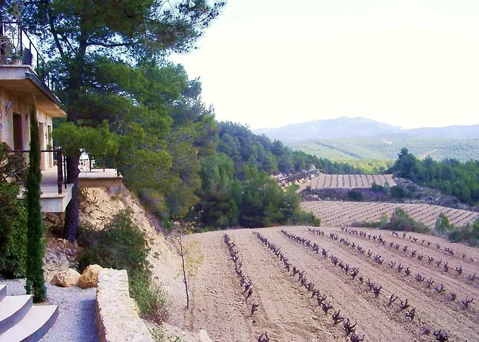 Maginet *